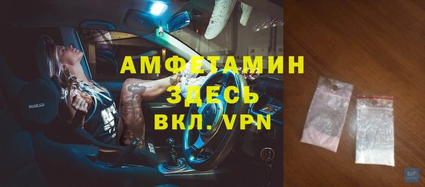 гидра Надым