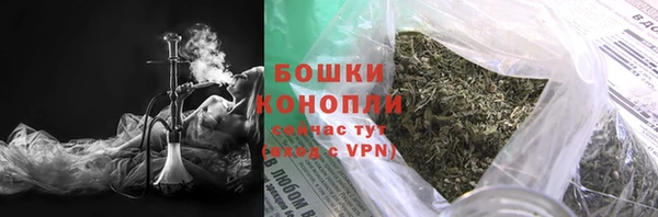 гидра Надым