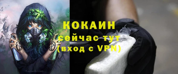 МДПВ Михайловск