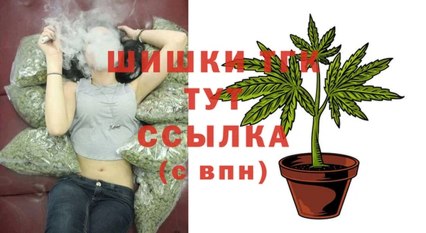 МДПВ Михайловск