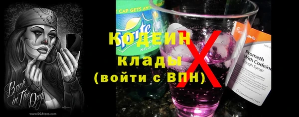 гидра Надым