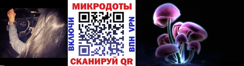 Галлюциногенные грибы Psilocybine cubensis  Симферополь 