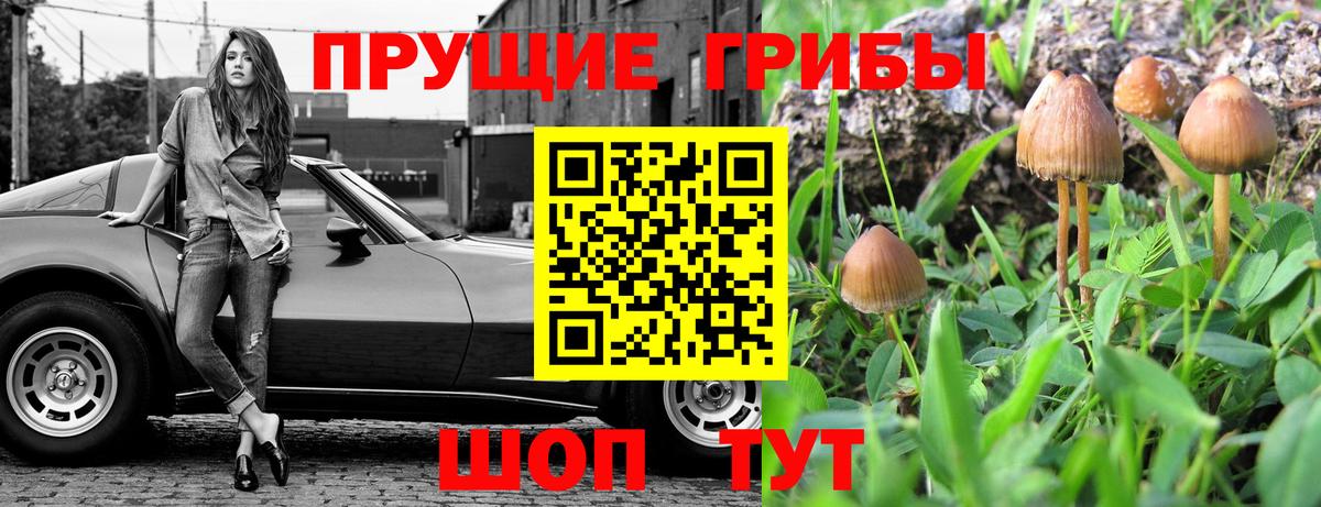 Галлюциногенные грибы прущие грибы  Вход с VPN  Галлюциногенные грибы Cubensis  даркнет сайт  Симферополь 