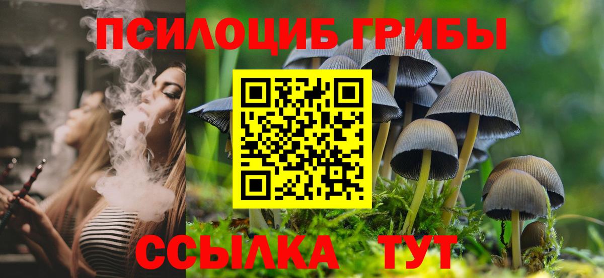 Псилоцибиновые грибы MAGIC MUSHROOMS  Симферополь  Галлюциногенные грибы ЛСД 